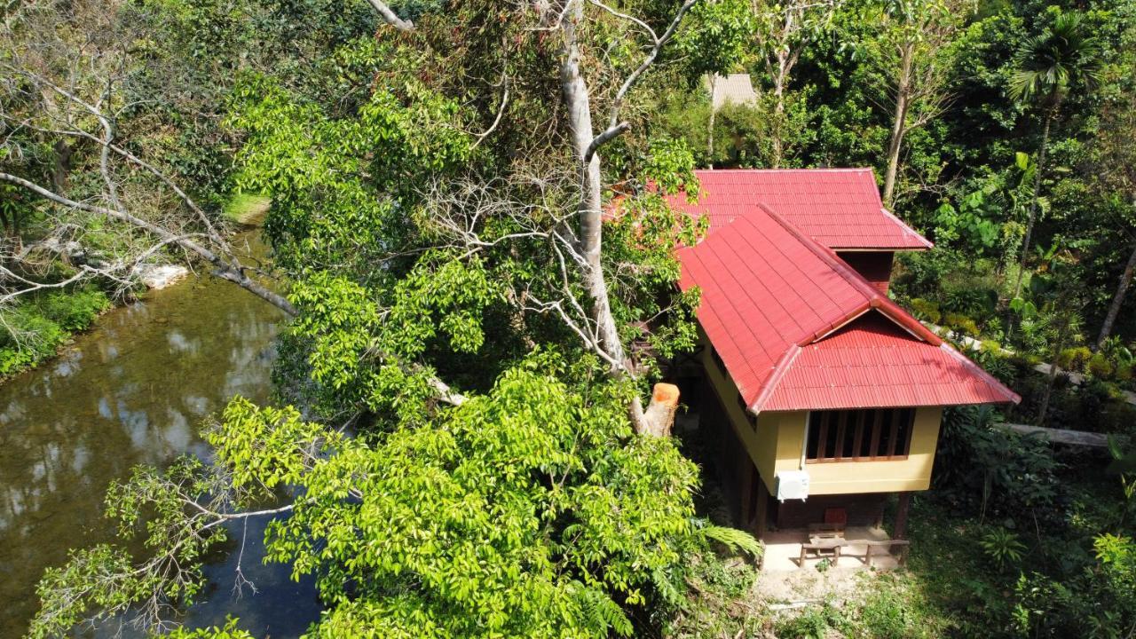 Art'S Riverview Lodge Khao Sok National Park Eksteriør bilde