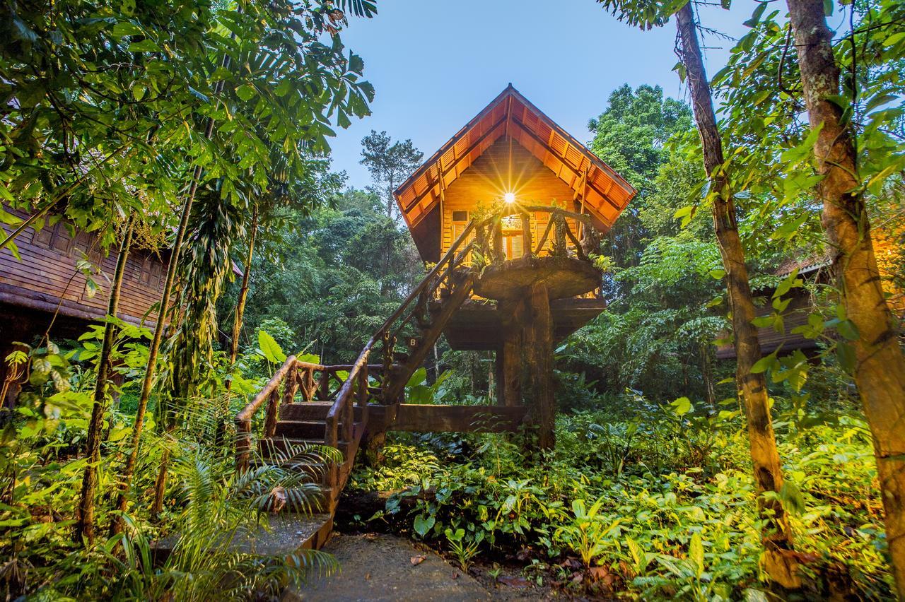 Art'S Riverview Lodge Khao Sok National Park Eksteriør bilde