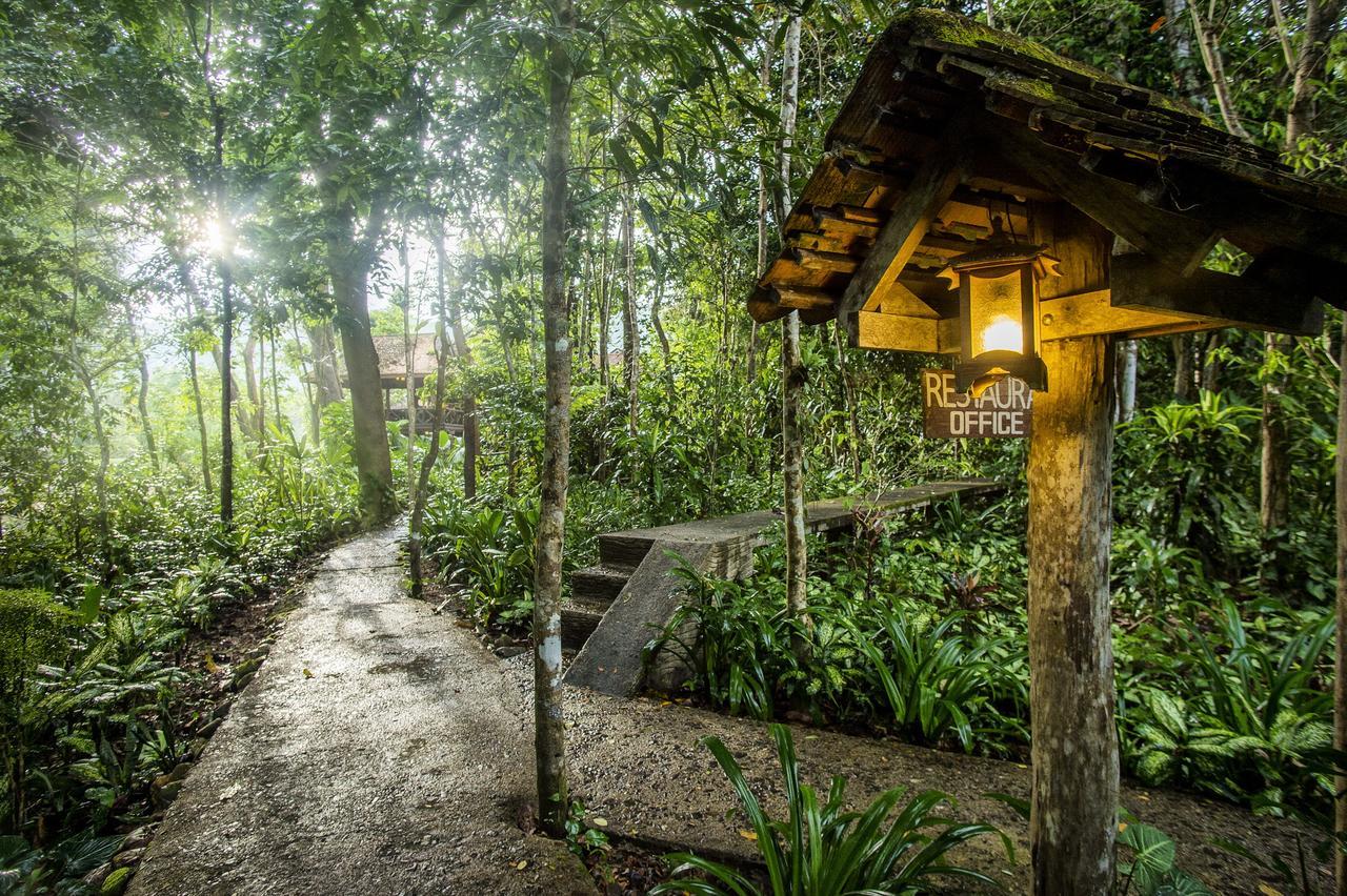 Art'S Riverview Lodge Khao Sok National Park Eksteriør bilde